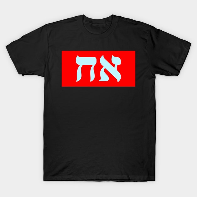 Hebrew Word for Brother T-Shirt by Hebrewisms